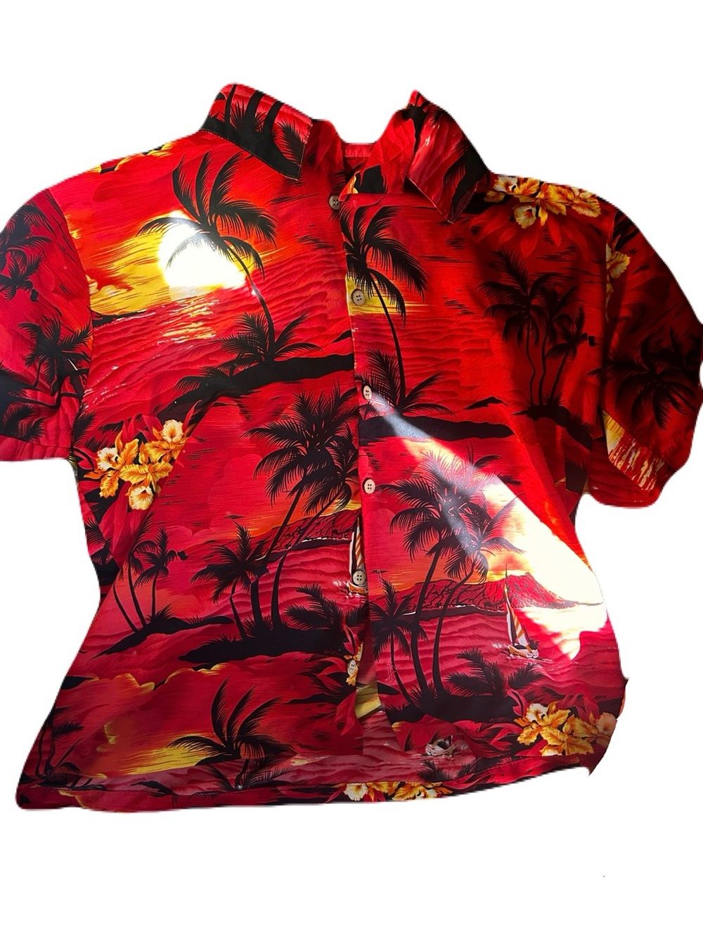 Vintage Air Eagle Short-Sleve Button Up with Sunset Motif
